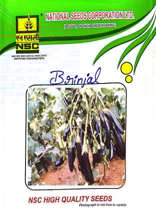 NSC-BRINJAL-ARKA KESHAV-50 GMS SEEDS