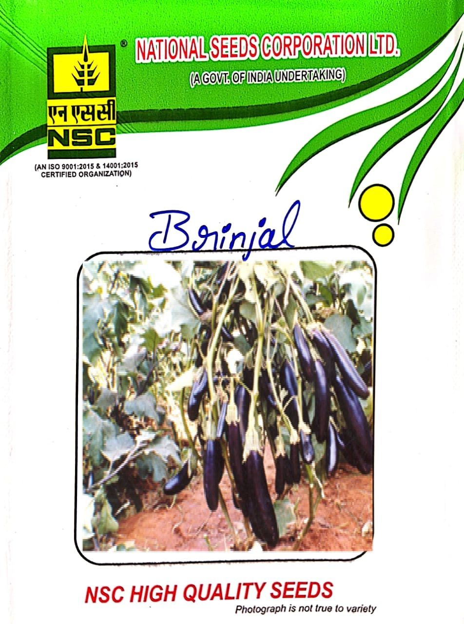 NSC-BRINJAL-ARKA KESHAV-50 GMS SEEDS
