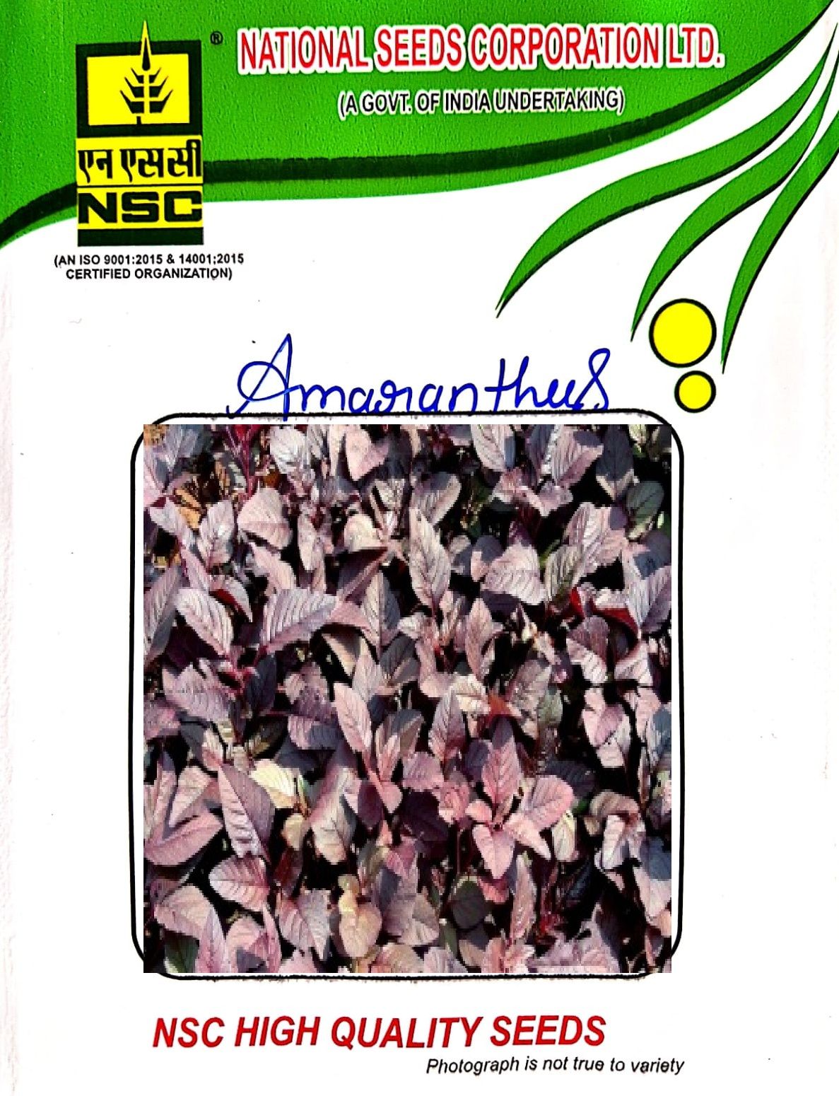 NSC-AMARANTHUS-ARKA ARUNIMA-100 GMS SEEDS