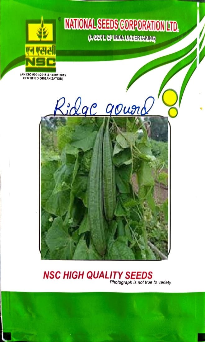 NSC-Ridge Gourd-Arka Prasan-50Gm Seeds