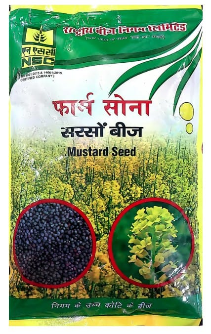NSC-Mustard -RH-761-TL 1 KG Seeds