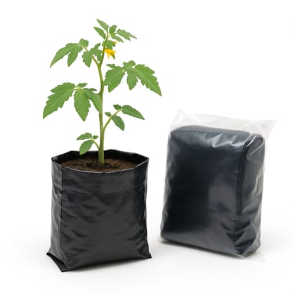 Nursery Grow Bags 8x8 Inch – Pack of 100 | Durable Poly Grow Bags for Plants