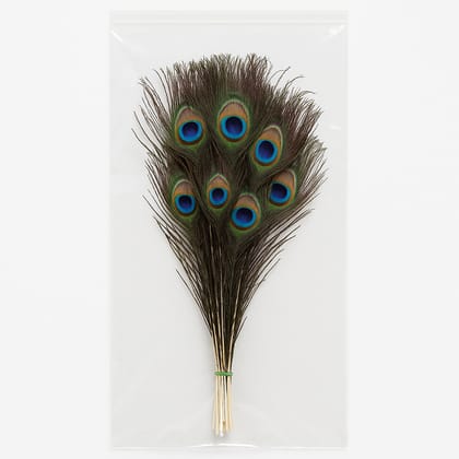 Natural Peacock Feathers – Small (20–30 cm, 15 Pieces) | EYA Garden 