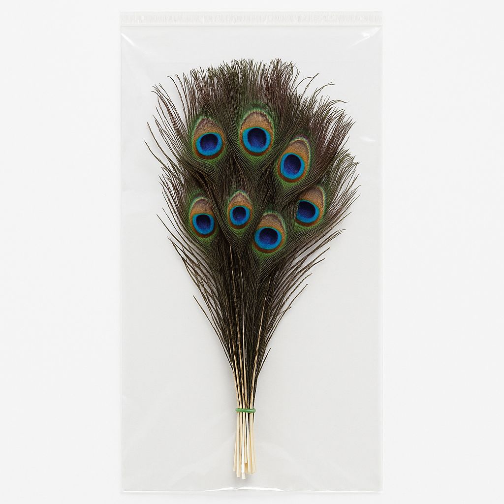 Natural Peacock Feathers – Small (20–30 cm, 15 Pieces) | EYA Garden 
