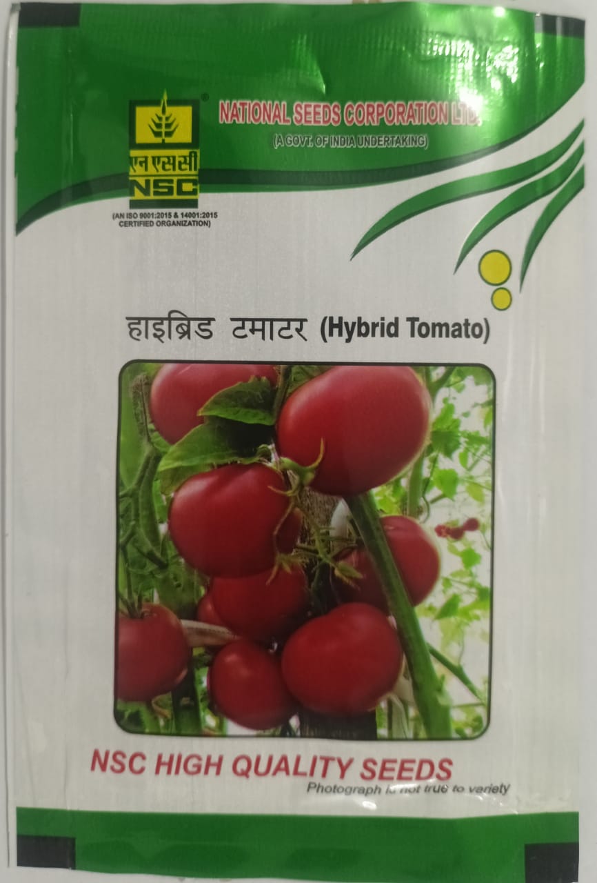 NSC Hybrid Tomato, Akra Samrat-Variety, 10 Gram Truthfully Labelled Seed Pouch