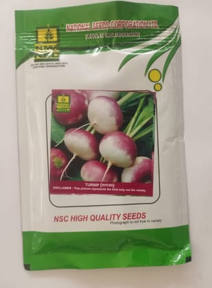 NSC Turnip, PTWG Variety, 100 Gram Truthfully Labelled Seed Pouch