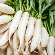 NSC Radish, JW Variety, 250 Gram Truthfully Labelled Seed Pouch