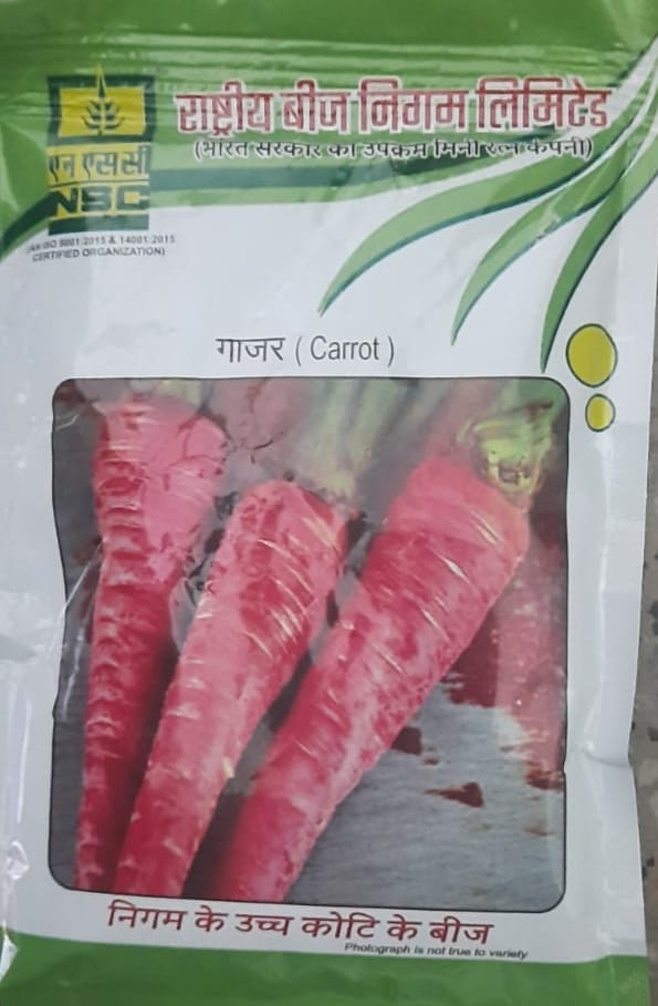 NSC Carrot, Puasa Rudhira Variety, 100 Gram Truthfully Labelled Seed Pouch