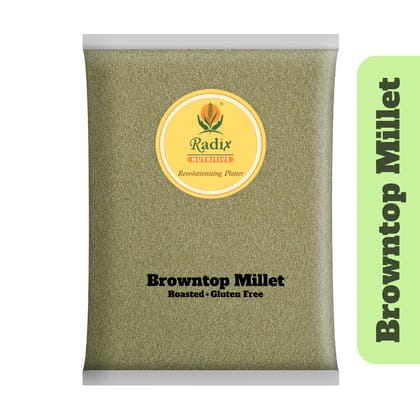 Radix Nutritive® Unpolished Browntop Millet Gluten-free