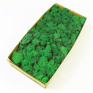 Artificial Green Craft Moss Natural Look for DIY Art Home Decor Terrariums Floral Arrangements and Event Styling Soft and Realistic Maintenance-Free (Dark Green)