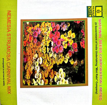 Nemesia Strumosa Carnival Mix-3 gms