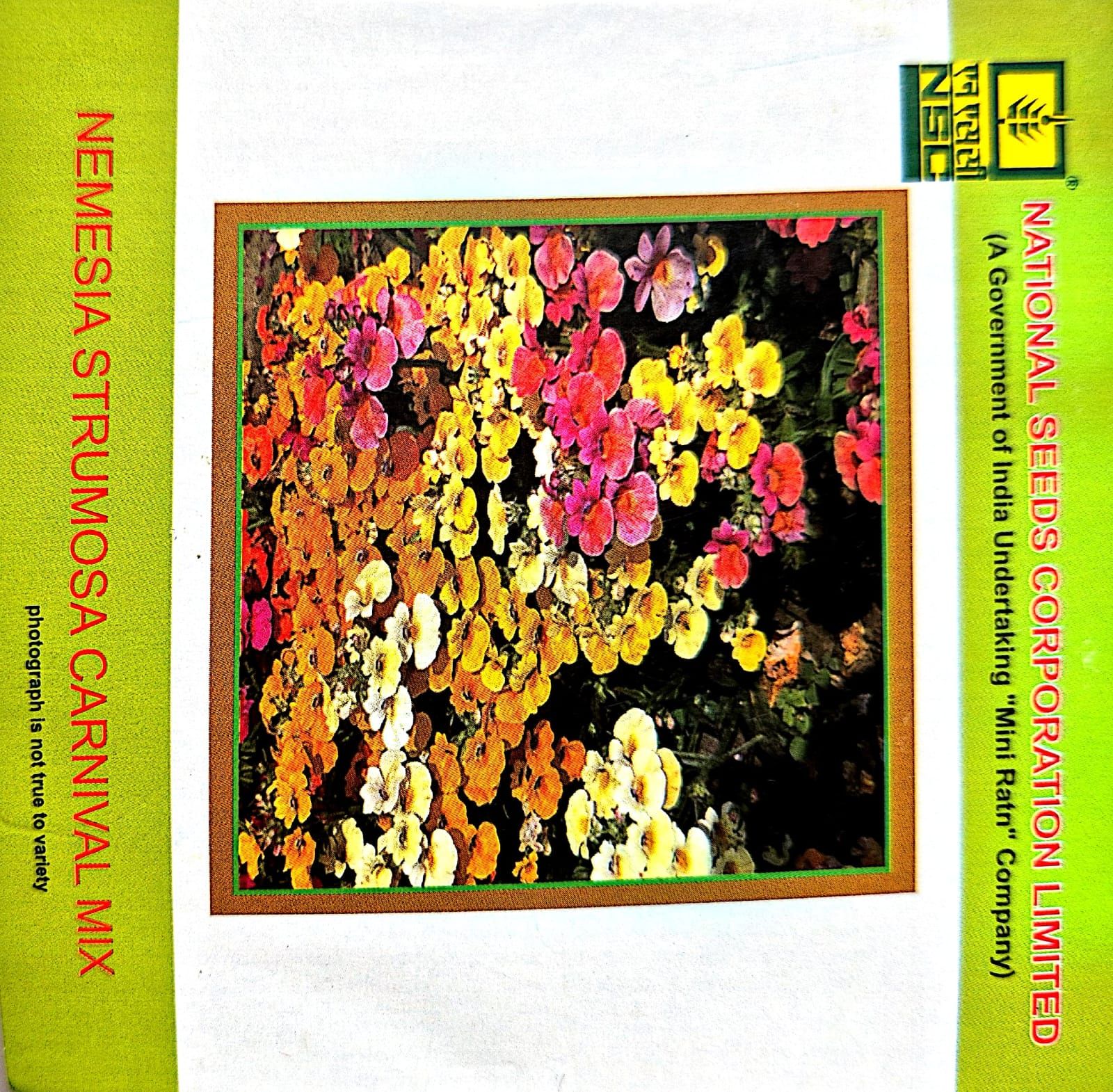 Nemesia Strumosa Carnival Mix-3 gms