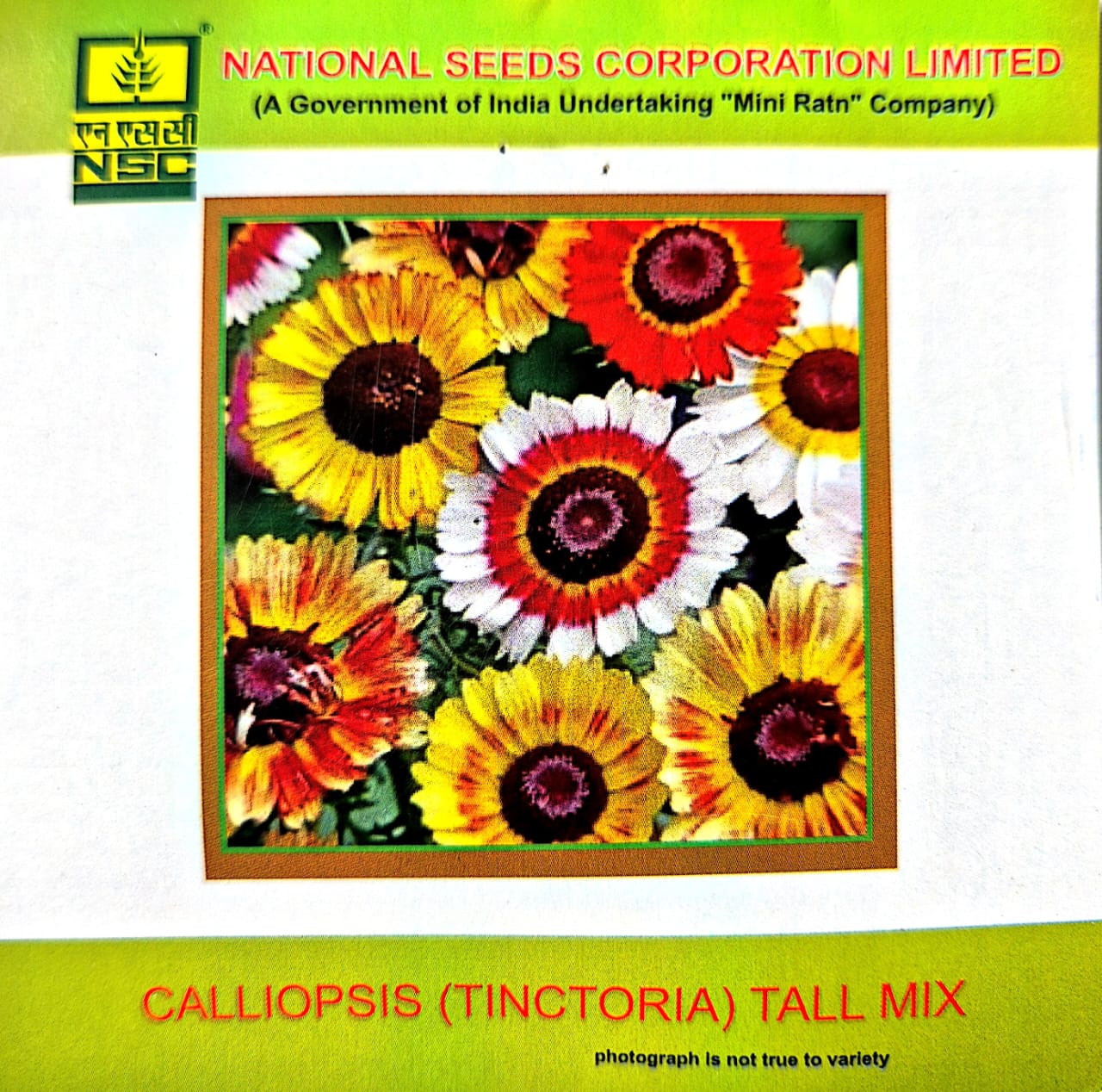 Calliopsis (Tinctoria) Tall Mix-3 gms