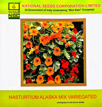 Nasturtium Alaska mix Variegated
