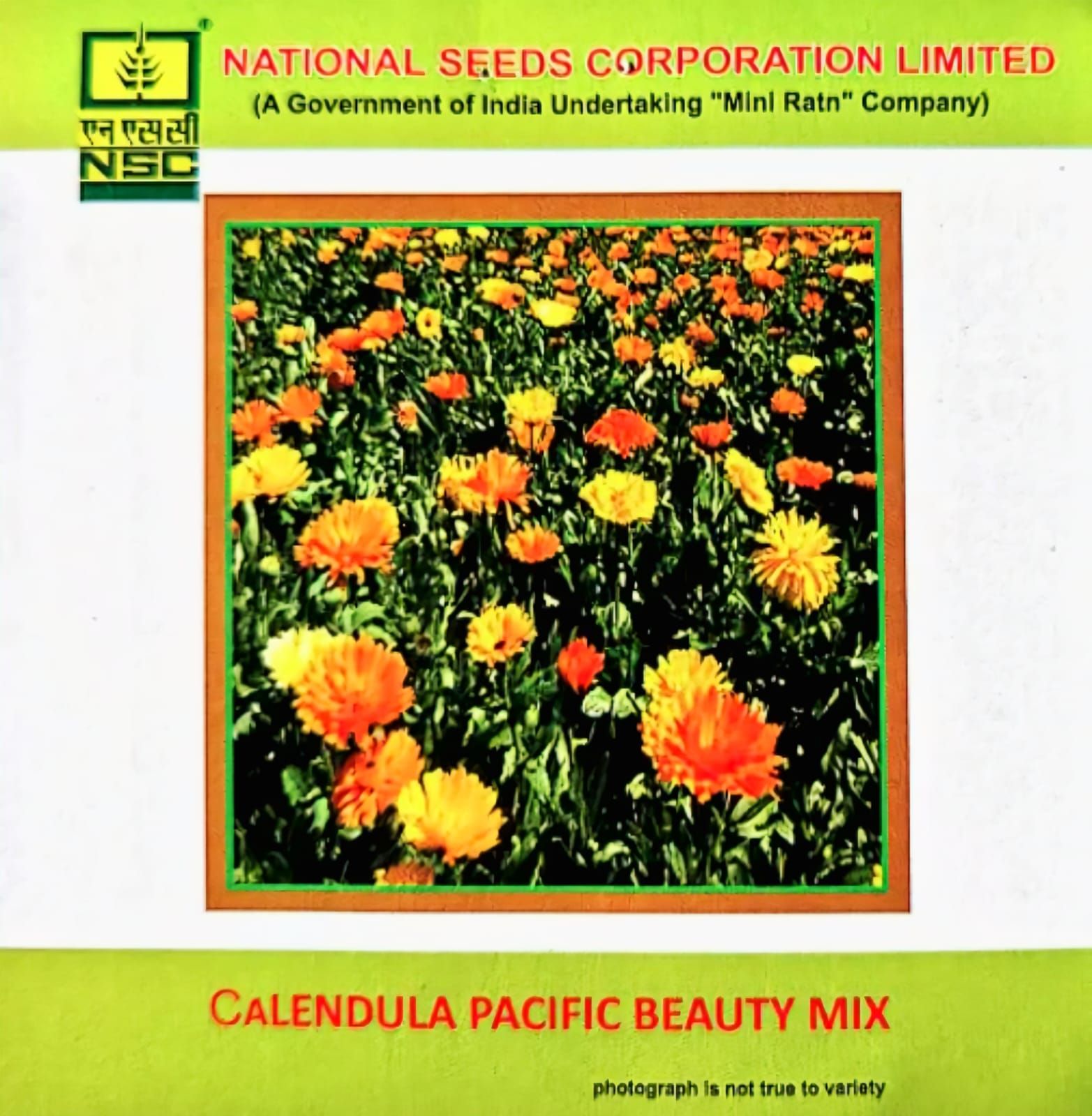 Calendula Pacific Beauty Mix-3 Gms