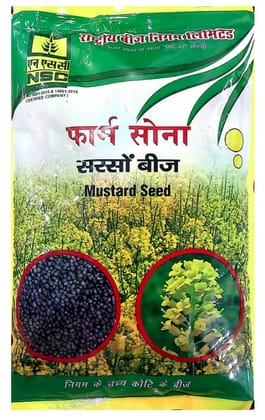 NSC-Mustard -RH-761-TL 1 KG Seeds