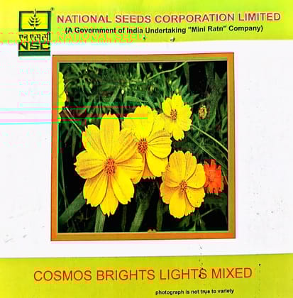 NSC-COSMOS BRIGHTS LIGHTS MIXED-3 GMS SEEDS