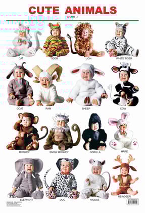 Cute Animals - 1 Educational Wall Chart For Kids - Both Side Hard Laminated (Size 48 x 73 cm) [Paperback] Dreamland Publications