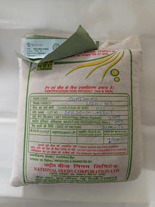 NSC Sunflower LSFH-171 variety, 2 kg C/S seed