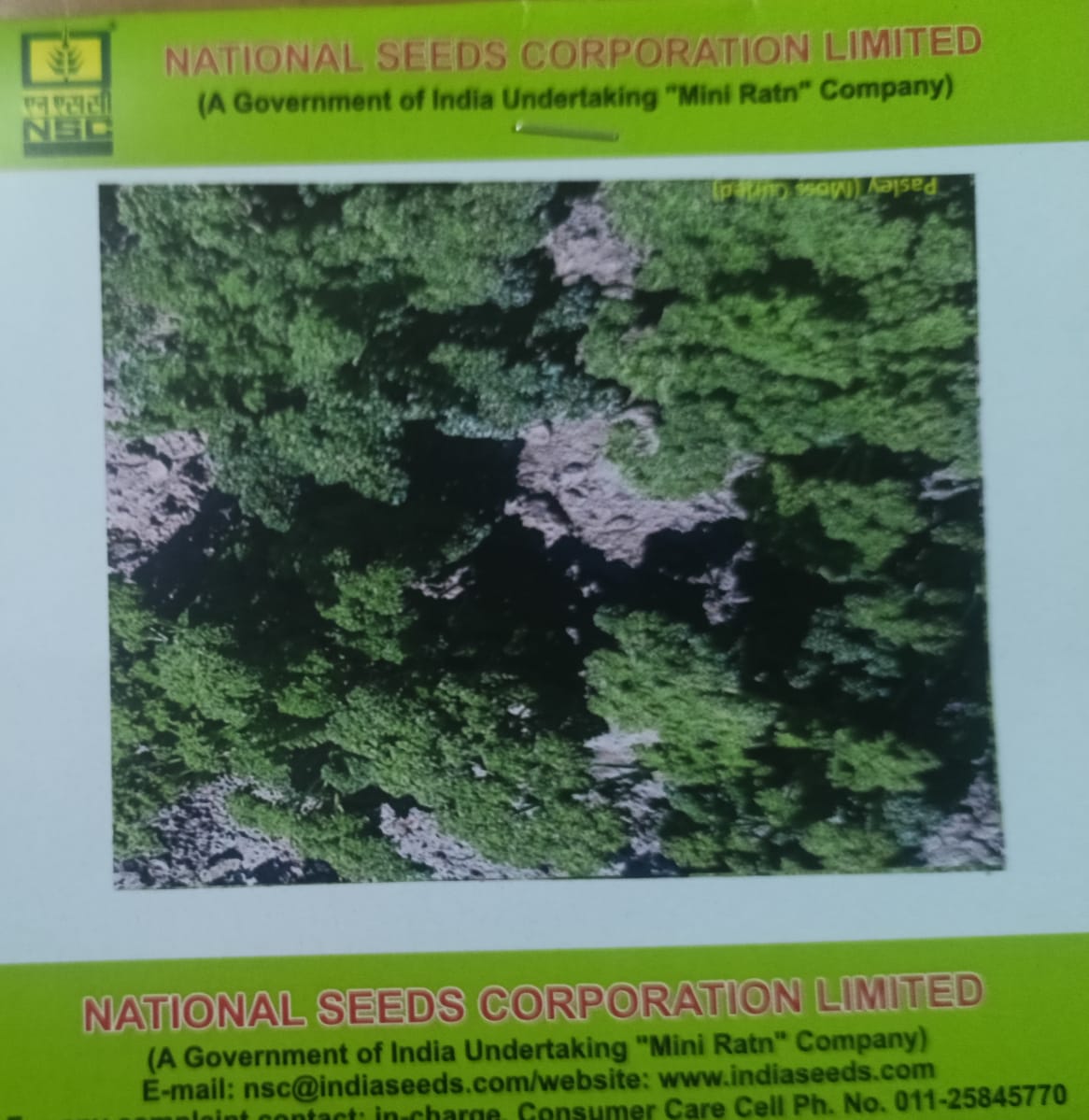 NSC Parsely, Moss Curled Exotic Vegetable Variety, 5 Gram Truthfully Labelled Seed Pouch