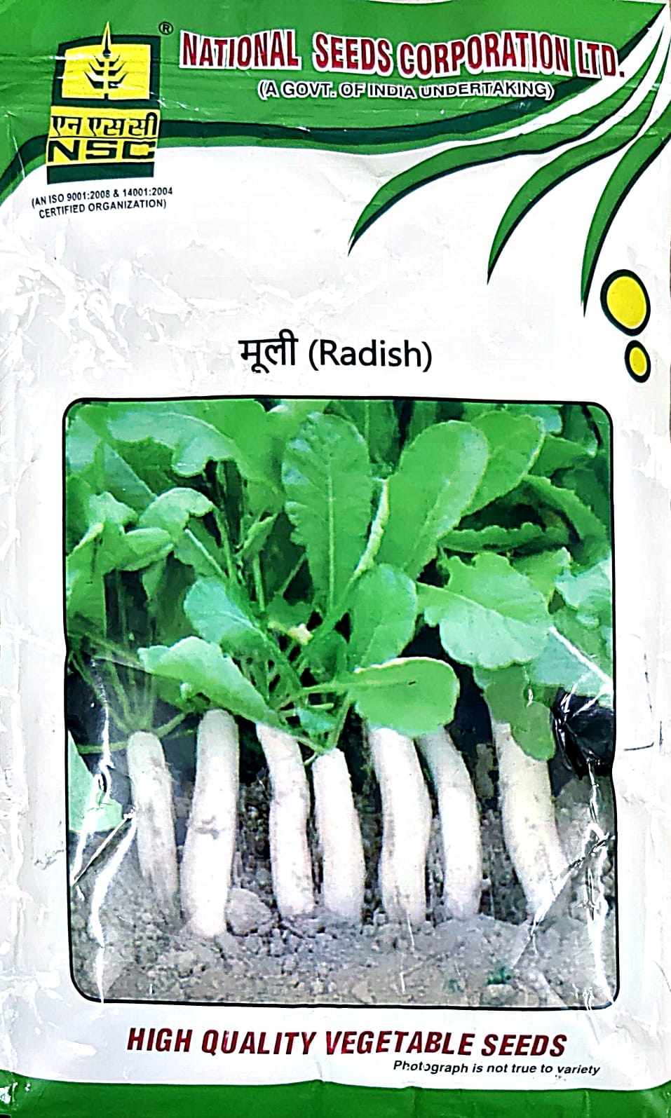NSC_Radish_ Kashi Mooli 40 variety_ (250gm)