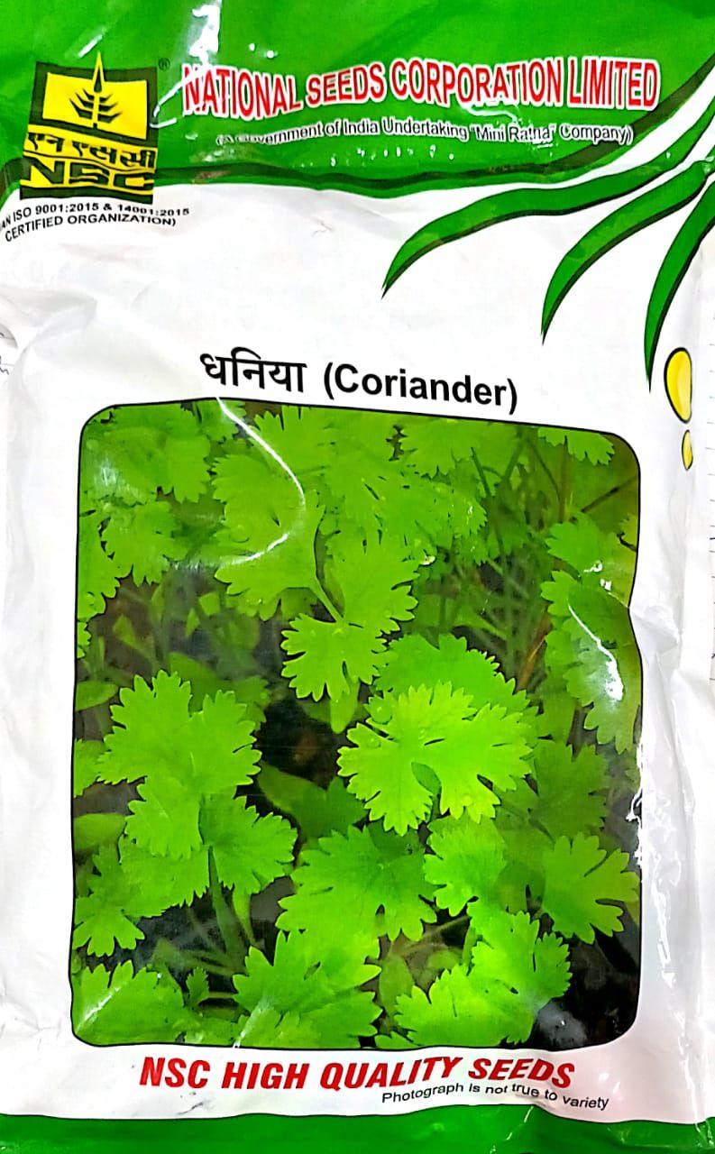 NSC -  CORIANDER VARIETY ACR-1 HIGH QUALITY SEEDS - 10 GMS POUCH