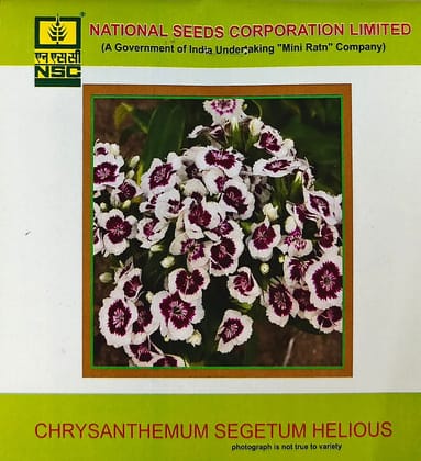 NSC Chrysanthemum Segetum Helious Flower Seed