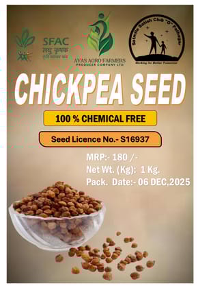 Chickpea Seed Chickpea Seed