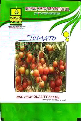 NSC-TOMATO/ARKA VIKAS-10GMS SEEDS