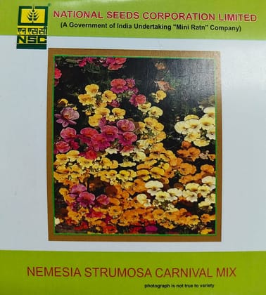 NSC Nemesia Strumosa Carnival Mix Flower Seed