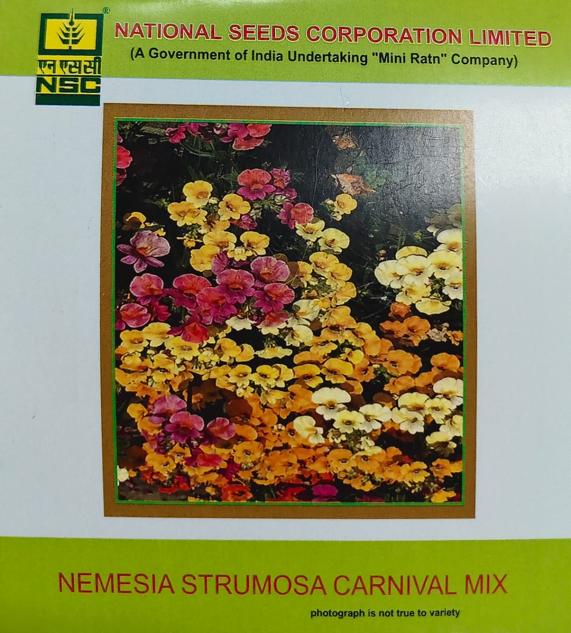 NSC Nemesia Strumosa Carnival Mix Flower Seed