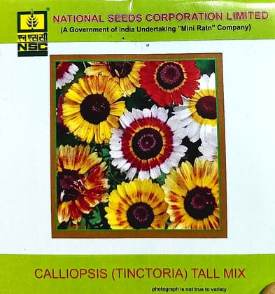 NSC Calliopsis (Tinctoria) Tall Mix Flower Seed