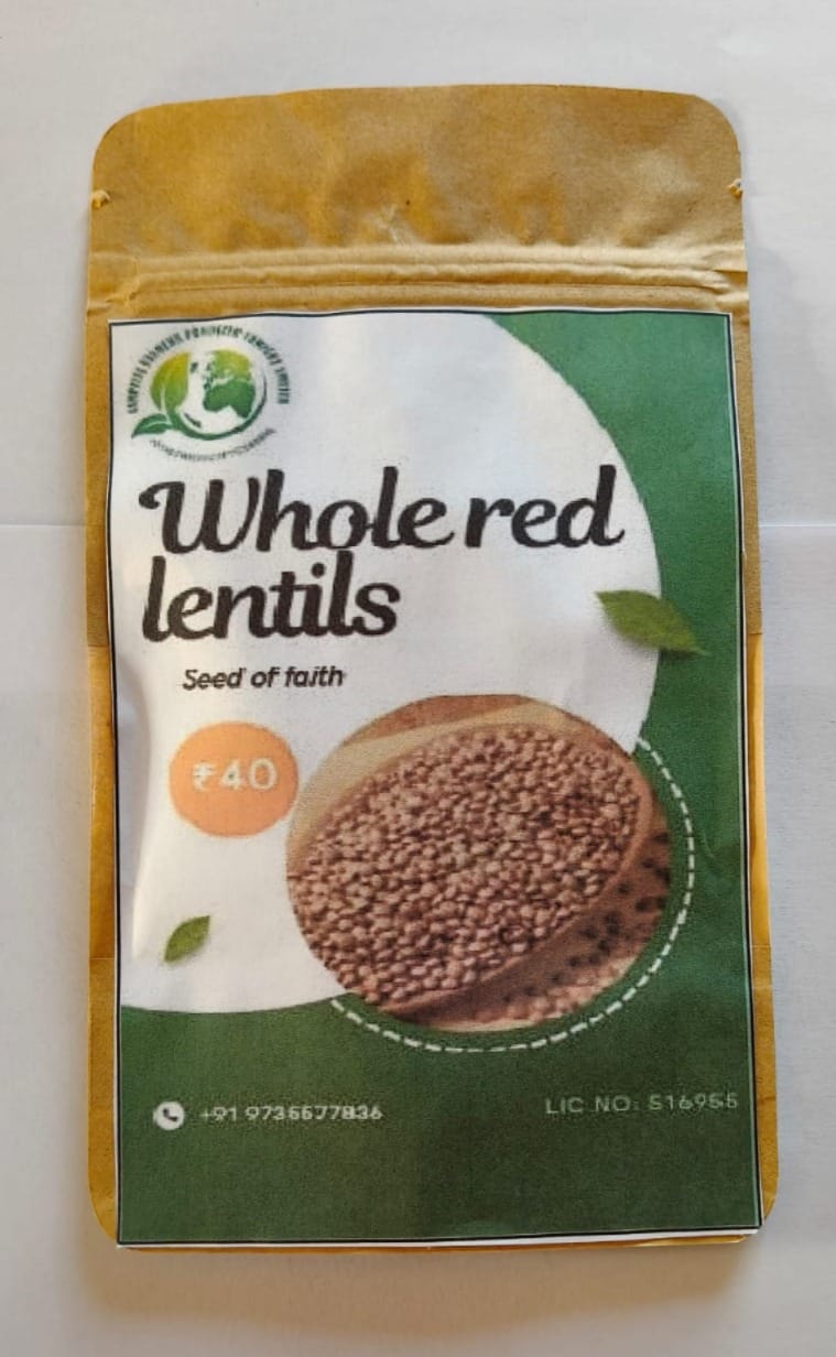 Whole Red Lentil Seed