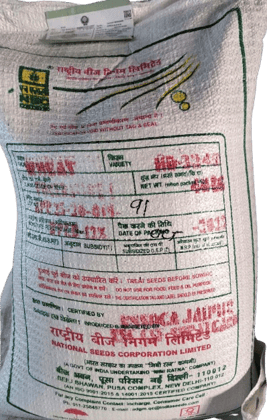 NSC WHEAT VARIETY PUSA WHEAT-3249 CERTIFIED SEED 40 KG BAG