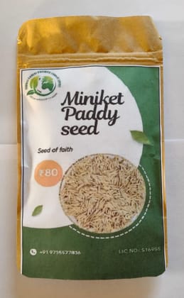Miniket Paddy Seeds
