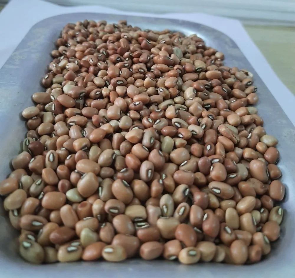 Lobia, Chawli, Barbati, Karamani 1kg