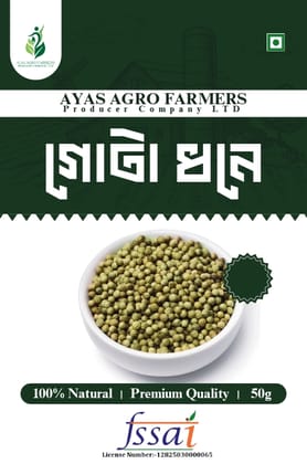 Coriander Seeds Coriander Seeds