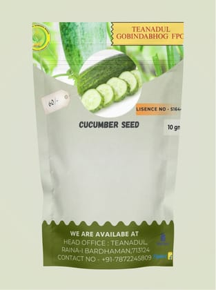 Cucumber seeds