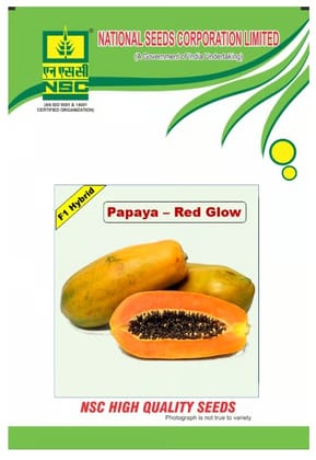 NSC PAPAYA RED GLOW - F1 HYBRID, TRUTHFULLY LABELLED 1 gm
