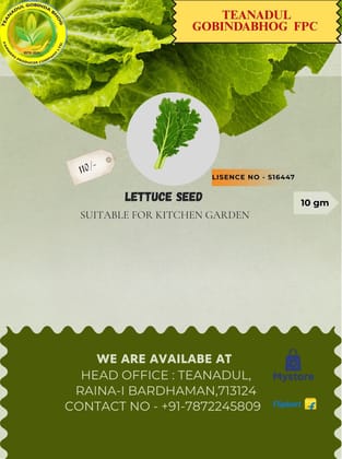 lettuce seeds