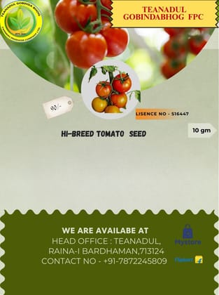 tomato seed