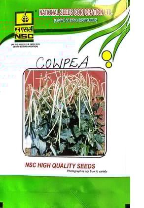NSC-COWPEA/ARKA SUMAN-50 GMS SEEDS