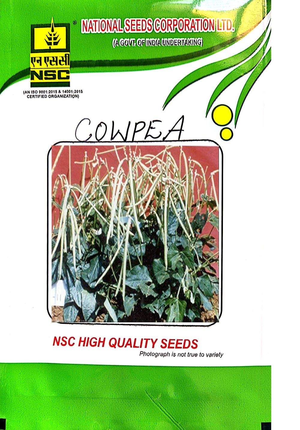 NSC-COWPEA/ARKA SUMAN-50 GMS SEEDS