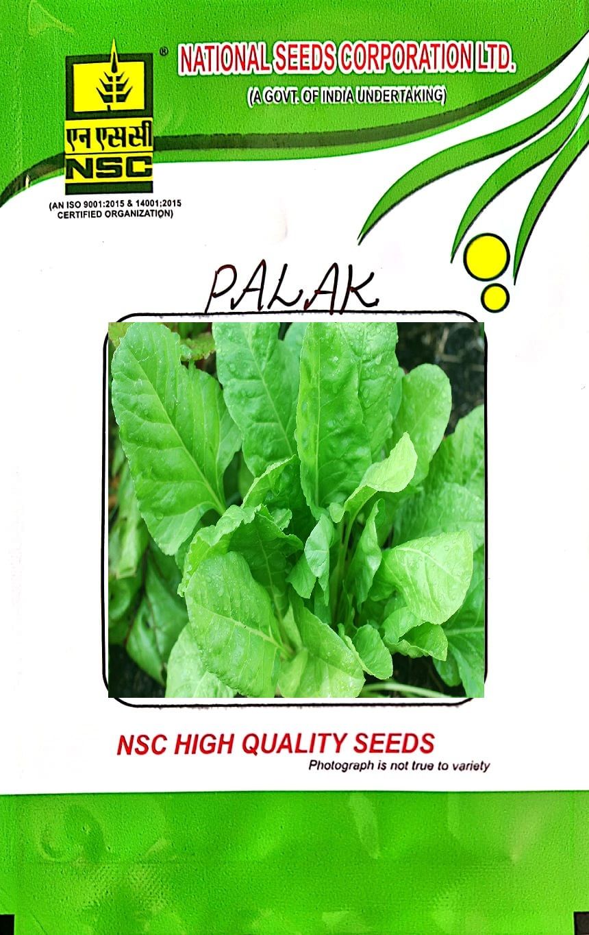 NSC-PALAK/ARKA ANUPAMA-100GMS SEEDS