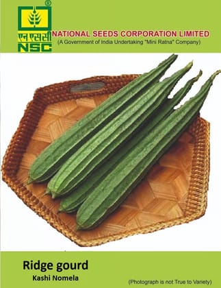 NSC Ridge Gourd Kashi Nanda Seed