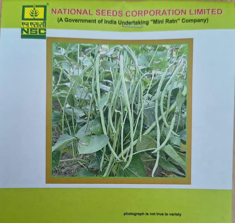 NSC Cowpea Kashi Nidhi