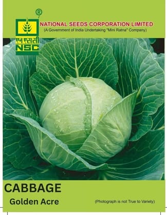 NSC Cabbage Golden Acre