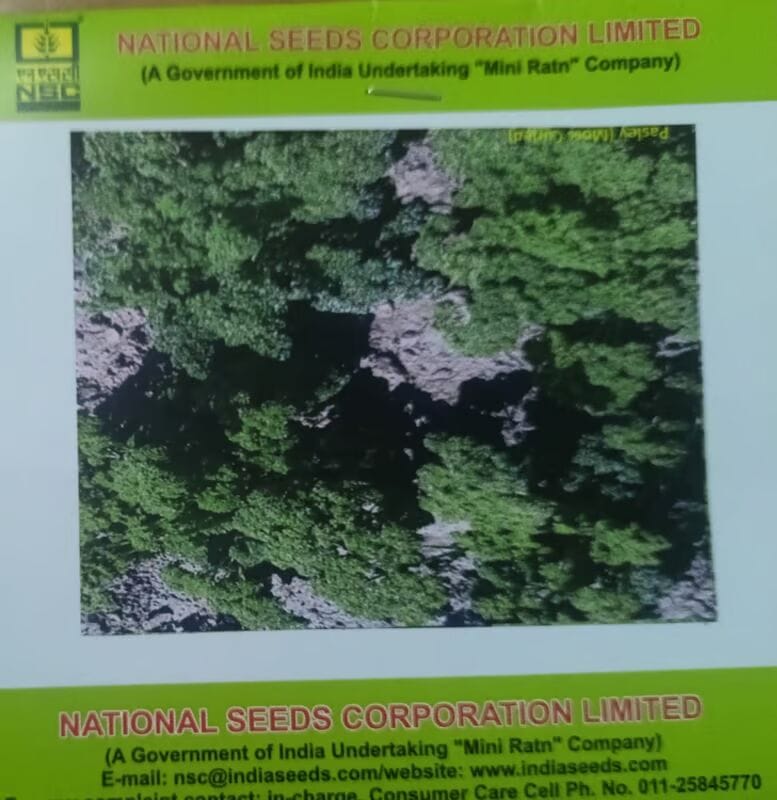 NSC Parsely, Moss Curled Exotic Vegetable 