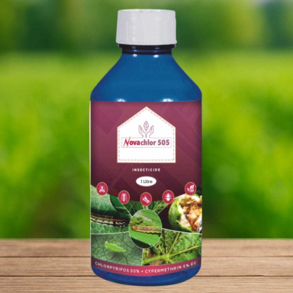 Novachlor 505 (Chlorpyrifos 50% + Cypermethrin 5% EC)