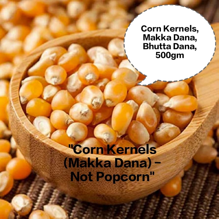 Corn Kernels, Makka Dana, Bhutta Dana, Maize Kernels, Dry Corn Seeds 500gm